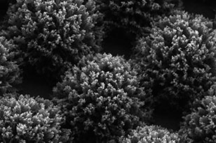 长治长治蔡司显微镜